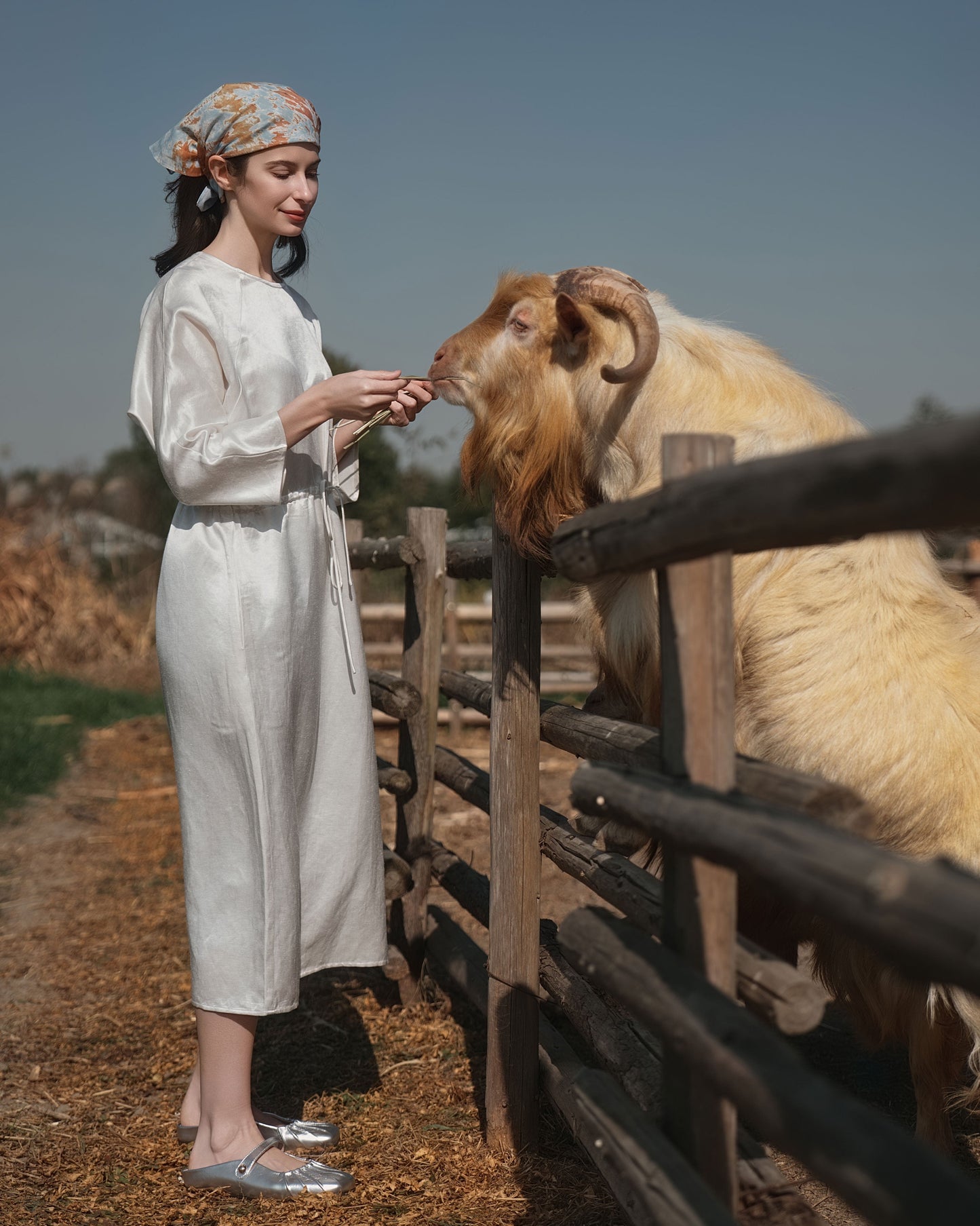 Aven 3/4 Sleeve Raglan Dress